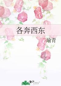 上古卷轴5